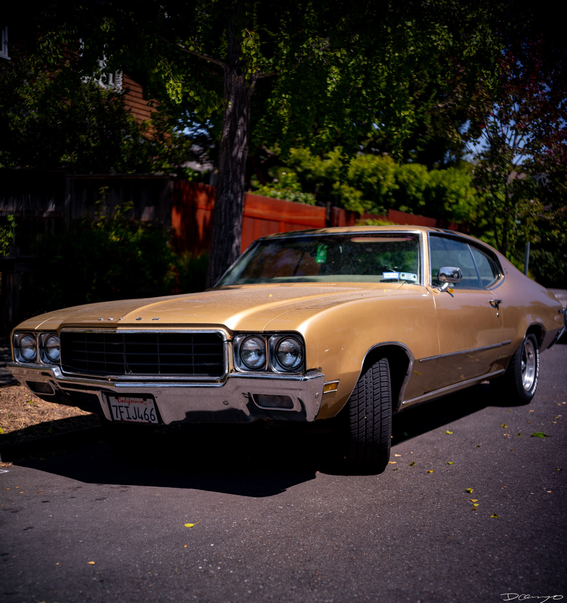 Pretty things that I wanted to take pictures of around Berkeley in 2023.